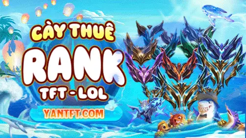 CÀY THUÊ