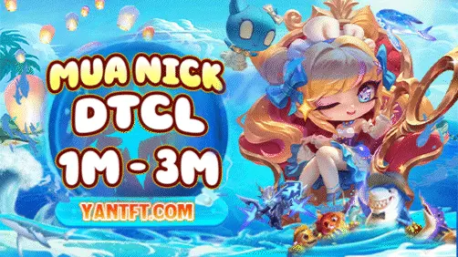 ACC TFT 1M-3M